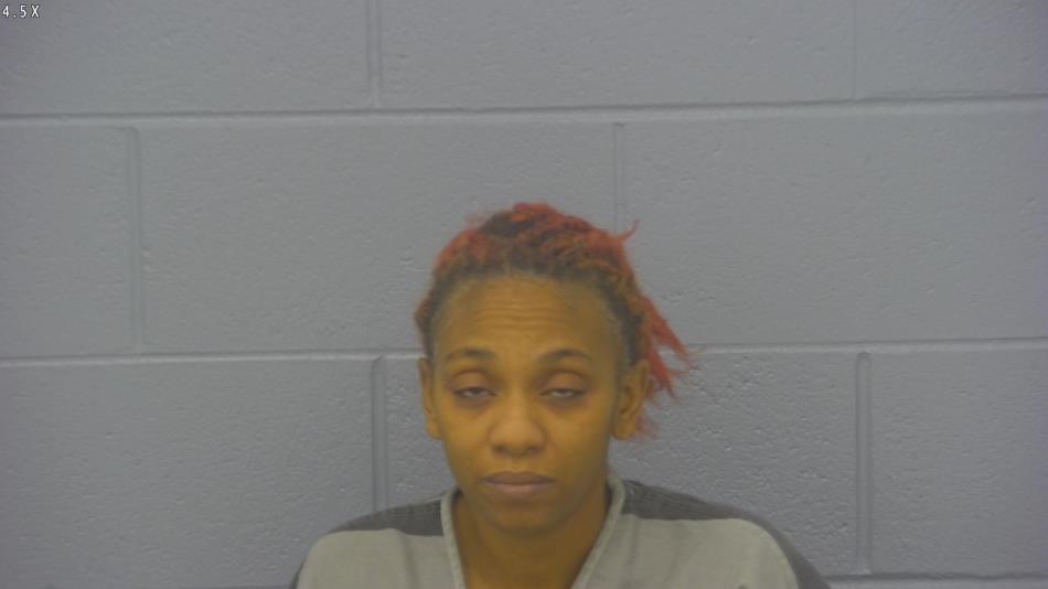 Arrest photo of TASHERRA NEWSOME