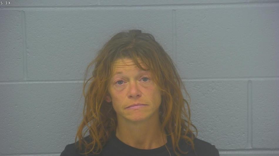 Arrest Photo of TASSY KEPFORD, arrested on 4/20/2024