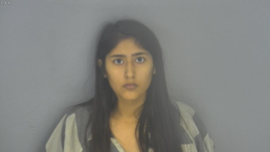 Arrest photo of TATYANA RIVAS