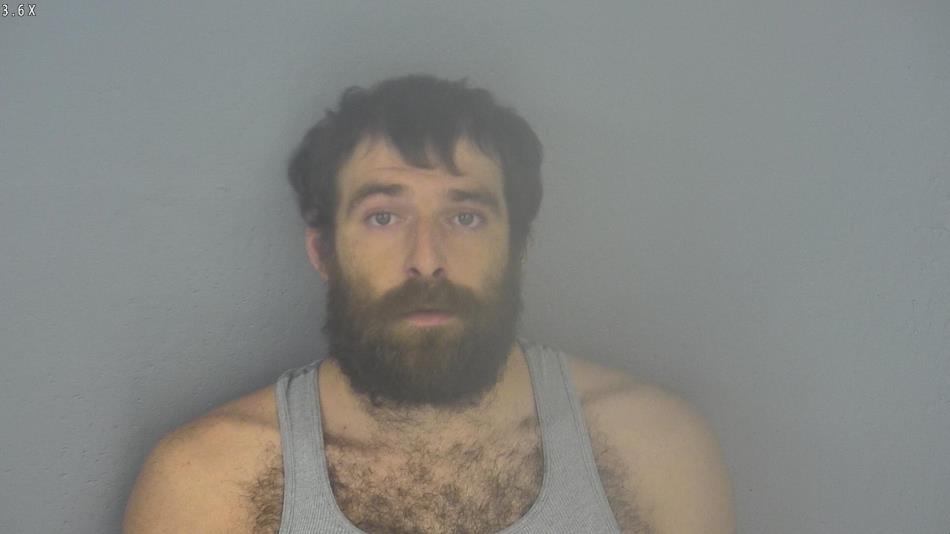 Arrest photo of TAYLOR SMITH
