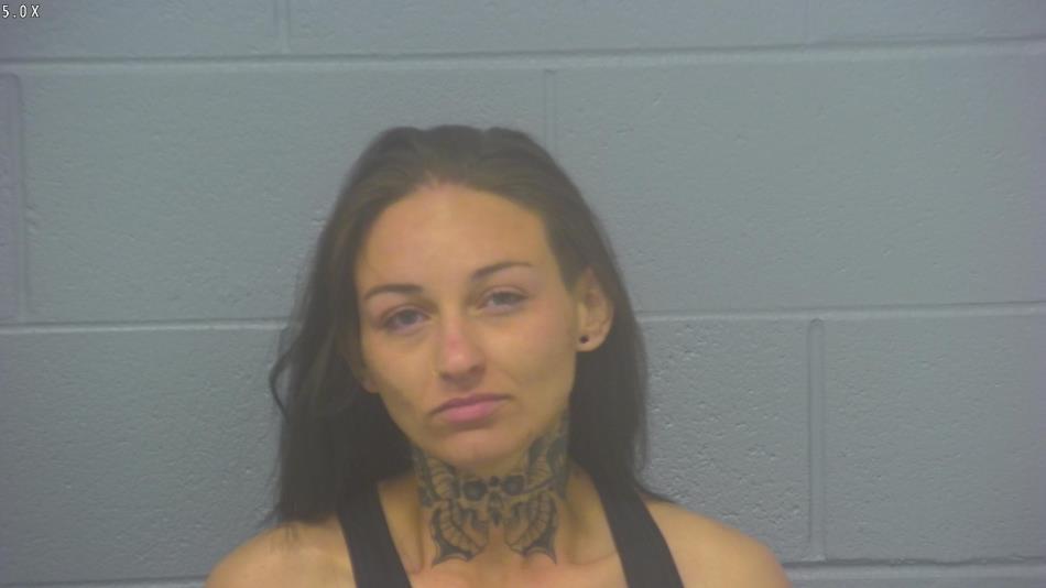 Arrest photo of TAYLOR WILES