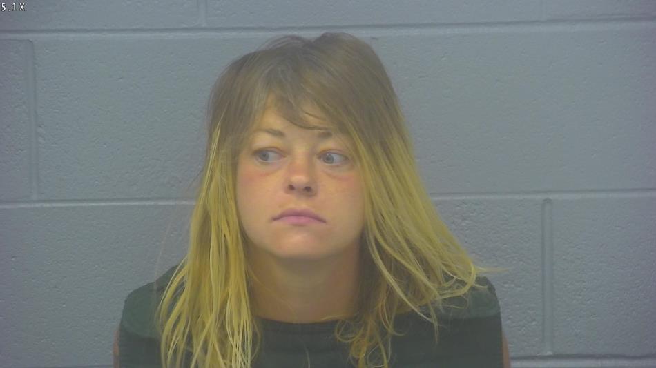 Arrest photo of TAYLOR JOHNSON