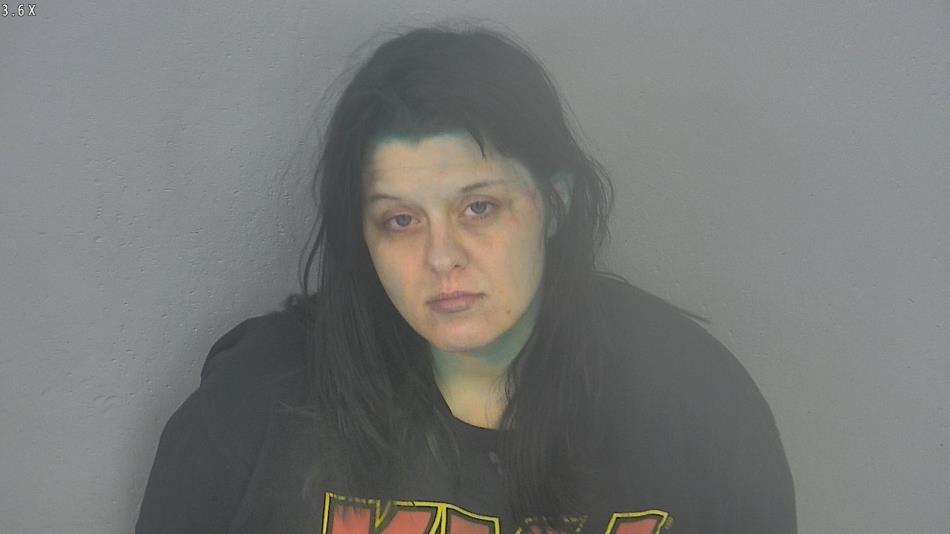 Arrest photo of TAYLOR VEIRS