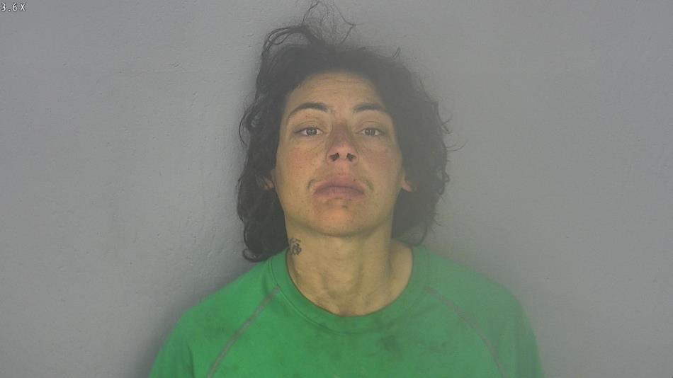 Arrest photo of TAYLOR SCOTT