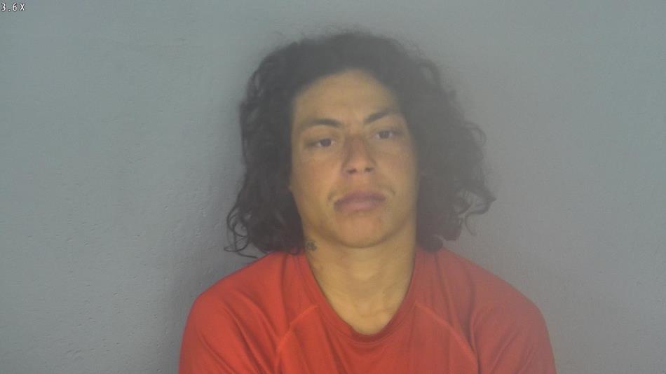 Arrest photo of TAYLOR SCOTT