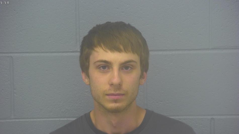 Arrest photo of TAYLOR MAPLES