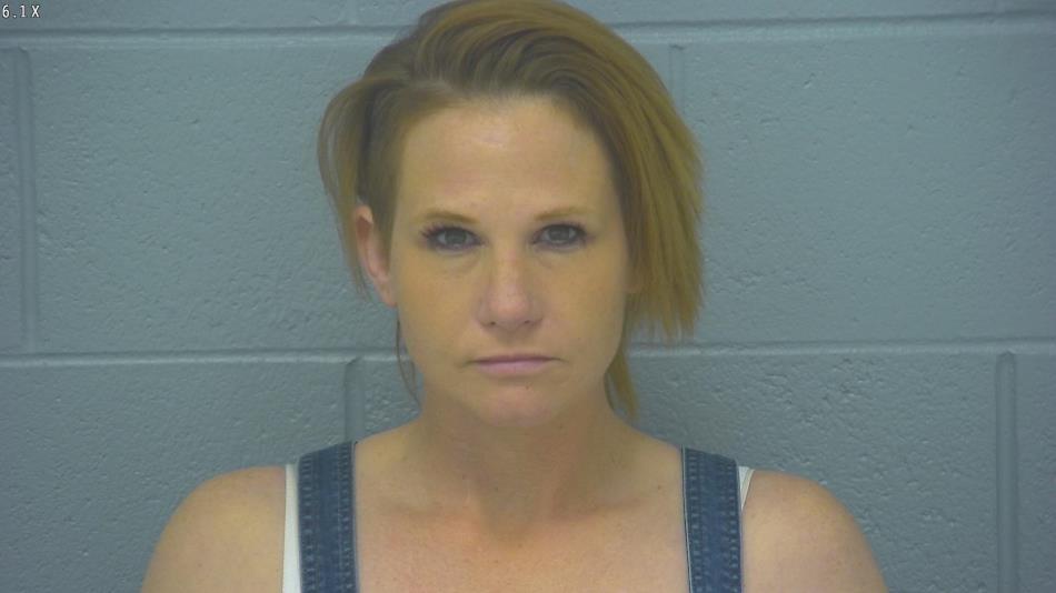 Arrest photo of TERESA AREA