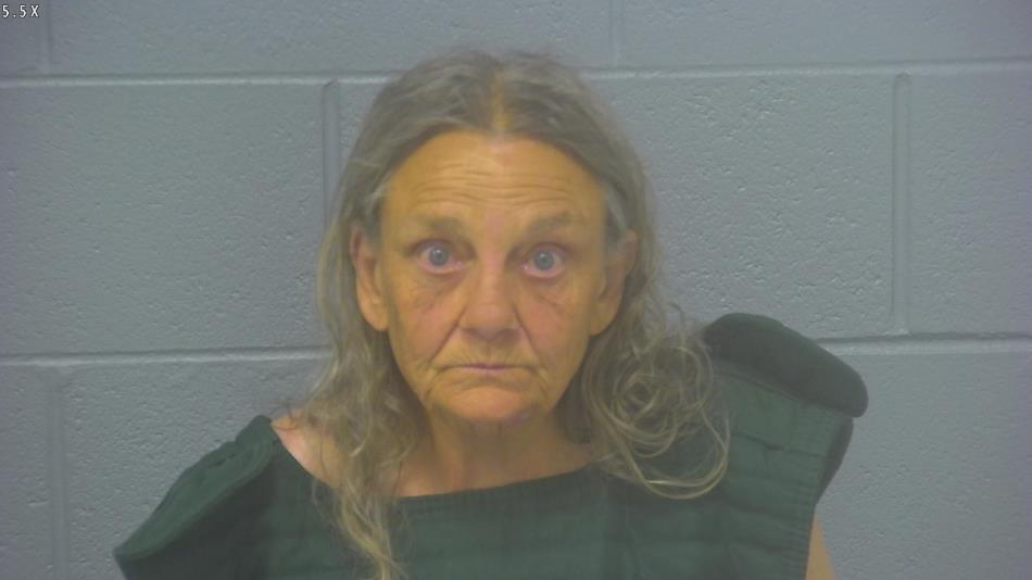 Arrest photo of TERESA WAGGONER