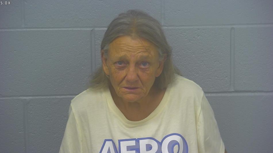 Arrest photo of TERESA WAGGONER