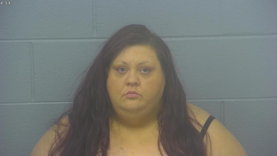 Arrest photo of TERI LARUSSO