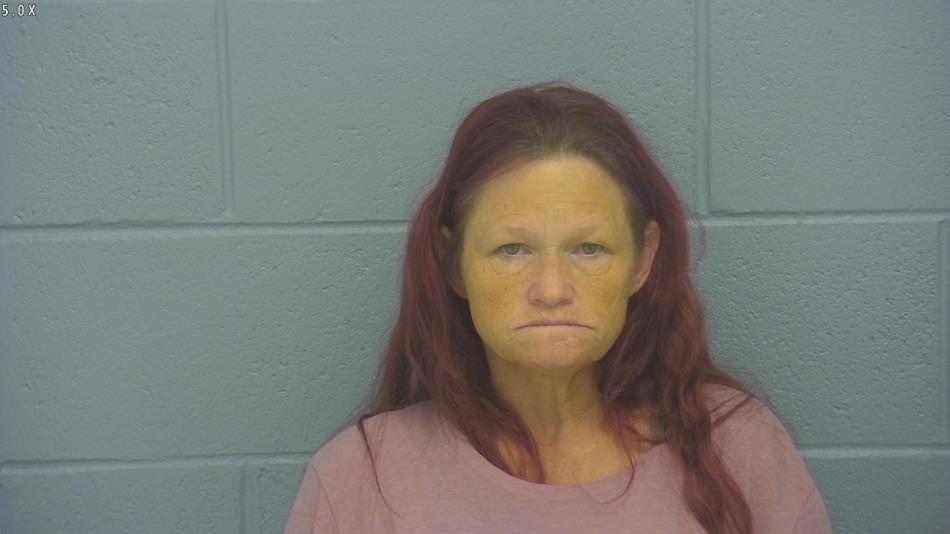 Arrest photo of TERRI MOSES