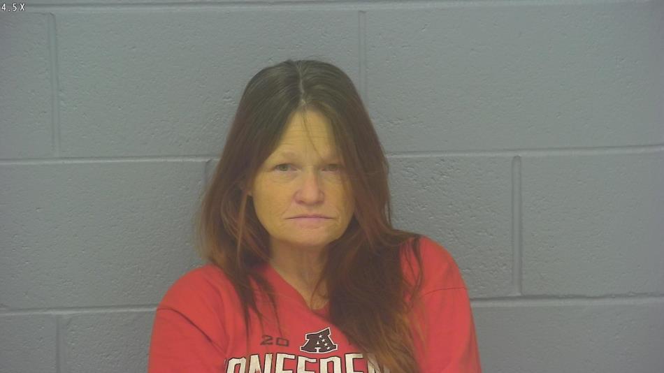 Arrest photo of TERRI MOSES