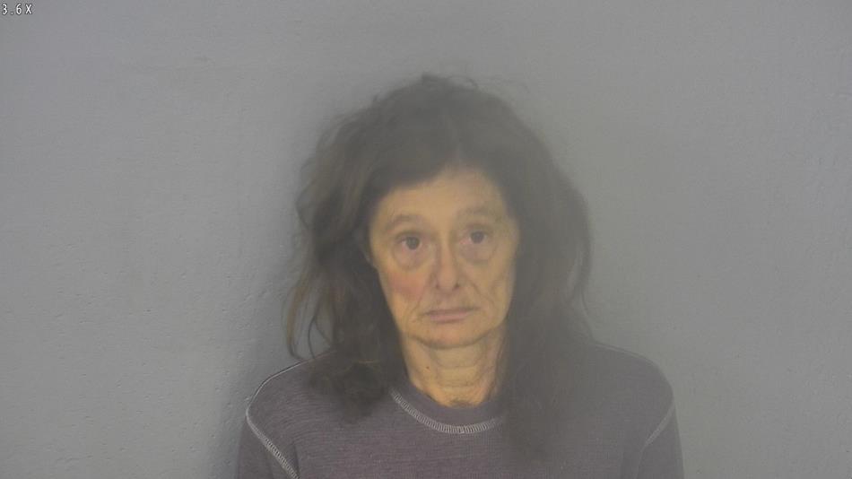 Arrest photo of TERRI WOOD