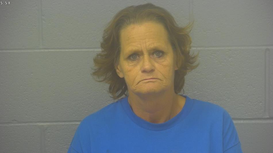 Arrest Photo of TERRI WILSON, arrested on 12/18/2024