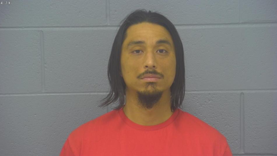 Arrest photo of TERRY BRONSON