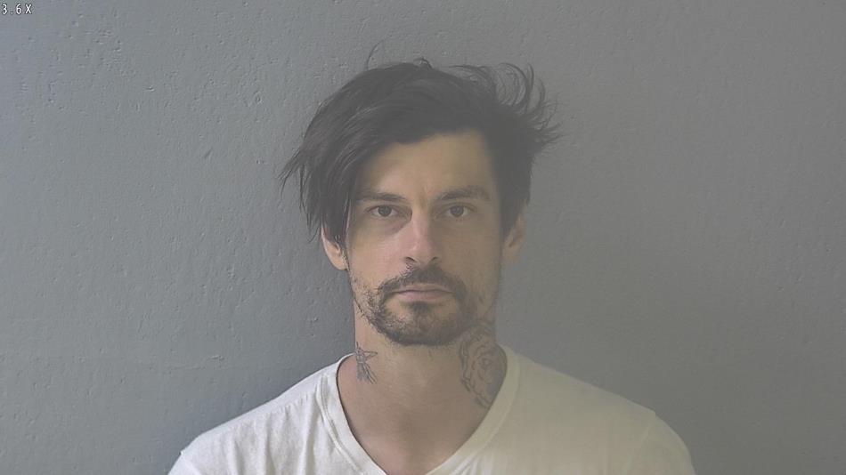 Arrest photo of TERRY THOMPSON