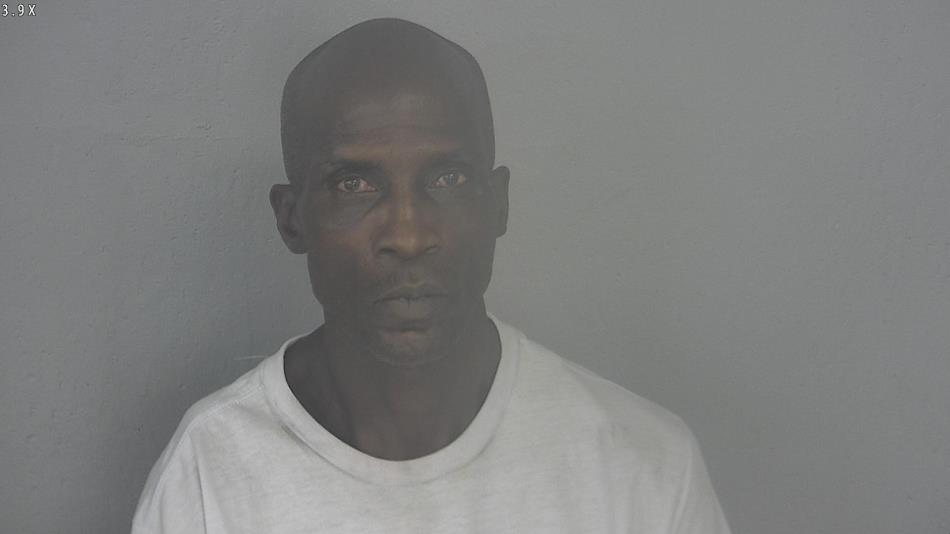 Arrest photo of TERRY DAVIS