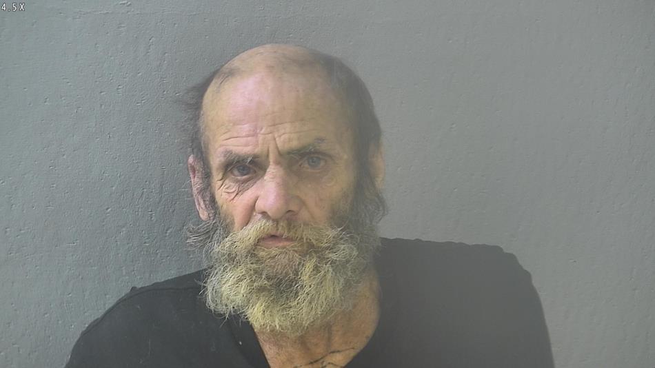 Arrest photo of TERRY BROWN