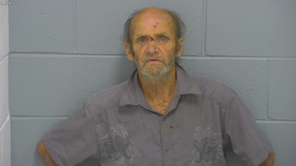 Arrest photo of TERRY BROWN