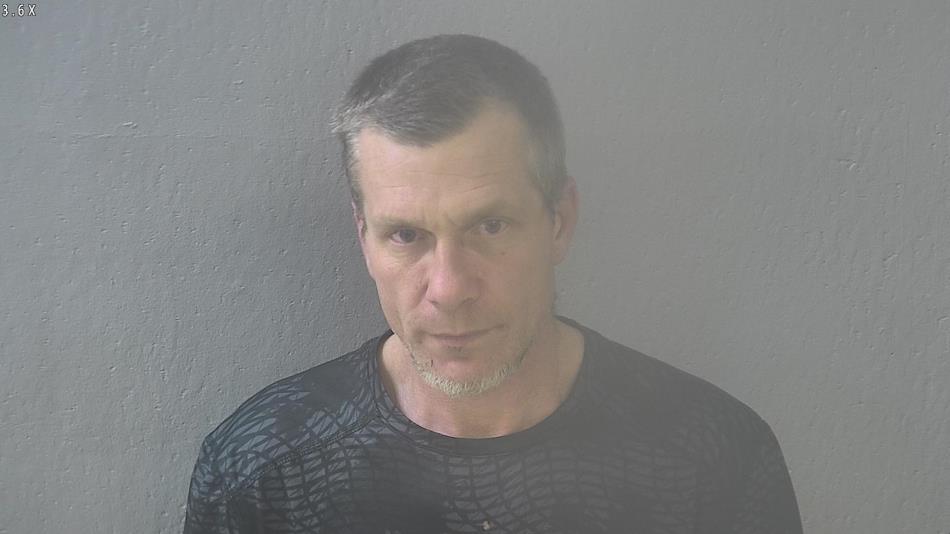 Arrest photo of TERRY COLLINS