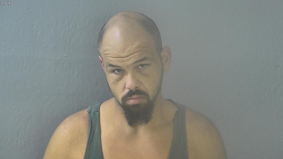 Arrest photo of THOMAS WOODS