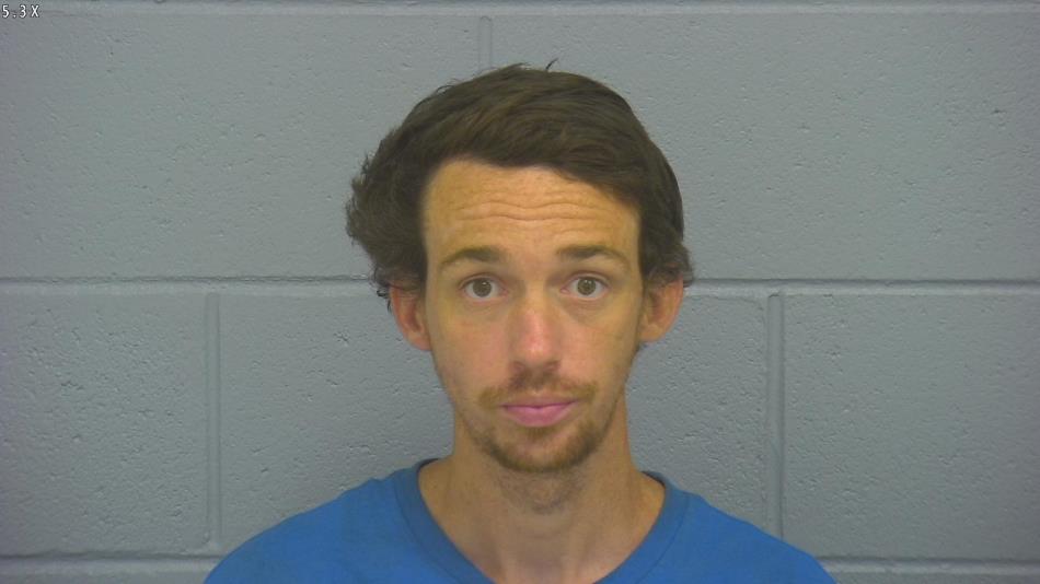 Arrest photo of THOMAS DOWN