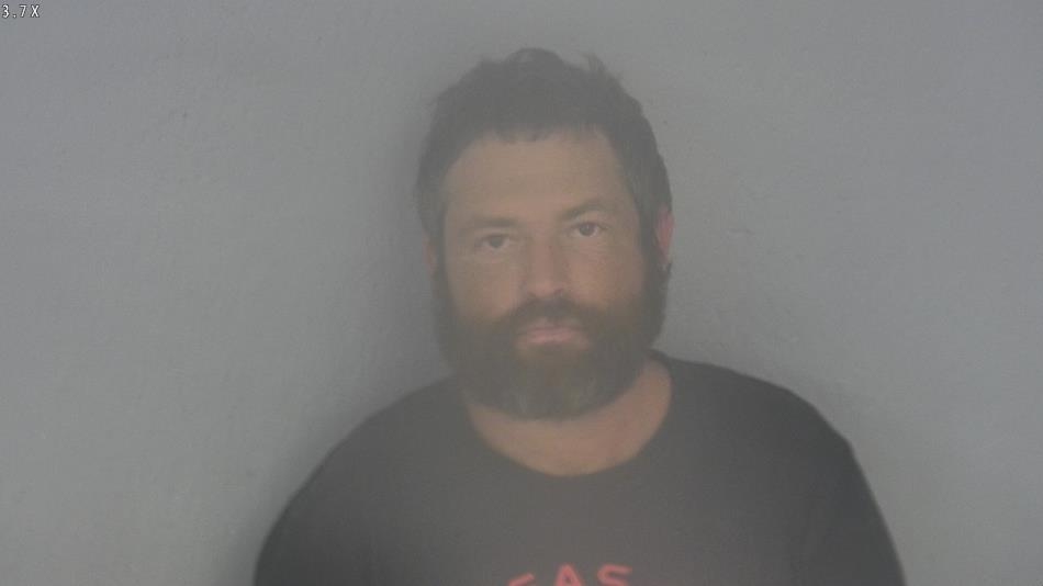 Arrest photo of THOMAS MILLS