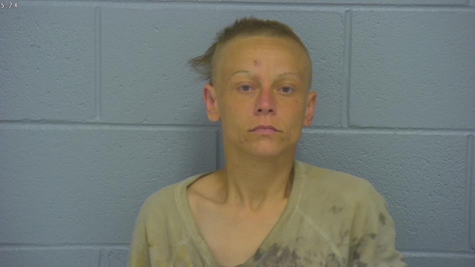 Arrest photo of TIFFANI HICKS