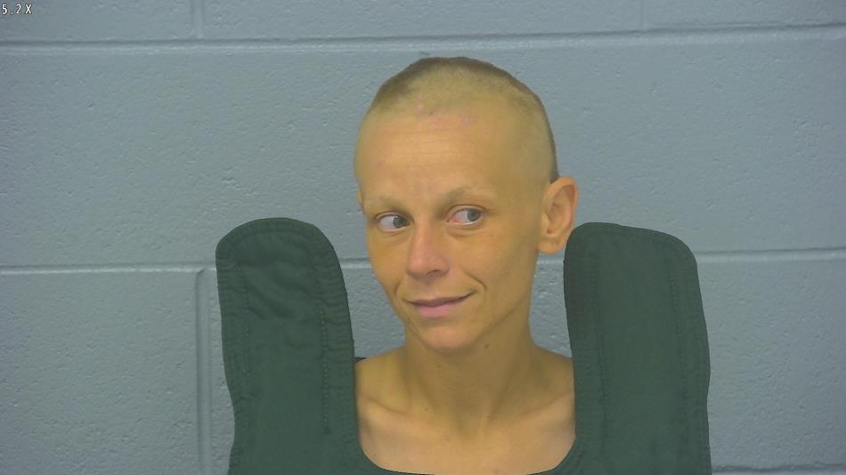 Arrest photo of TIFFANI HICKS