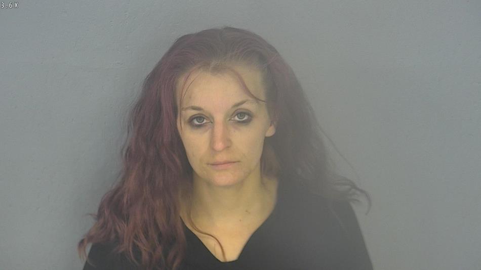 Arrest photo of TIFFANY PERRETA