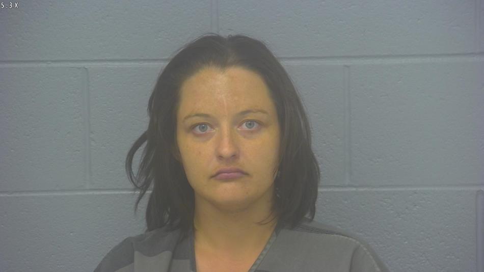 Arrest photo of TIFFANY SOUTHERLAND