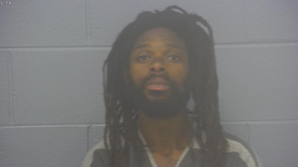 Arrest photo of TIMMY MC FAN