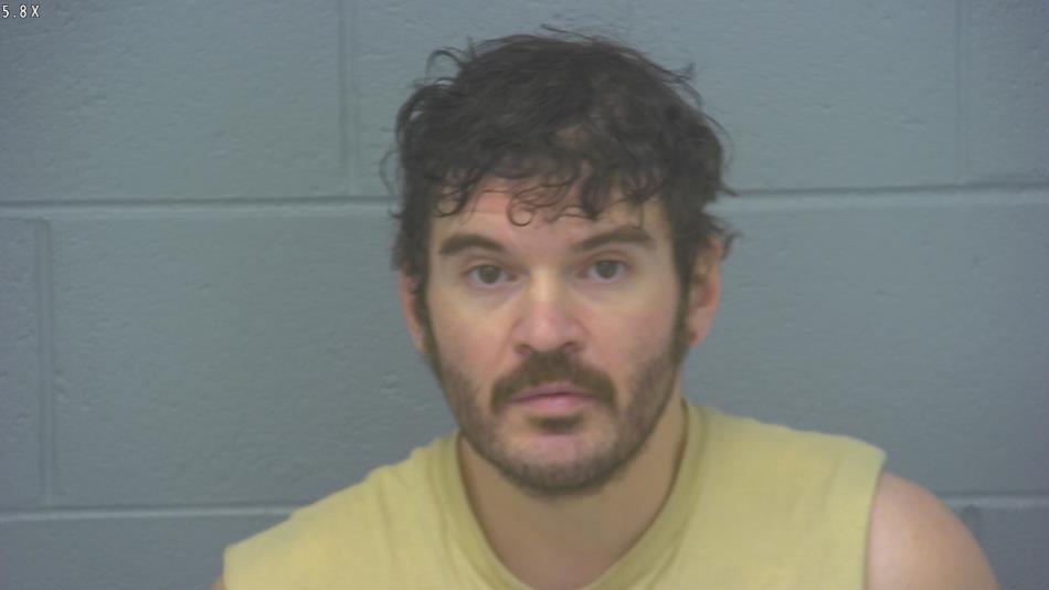 Arrest photo of TIMOTHY WILKINS