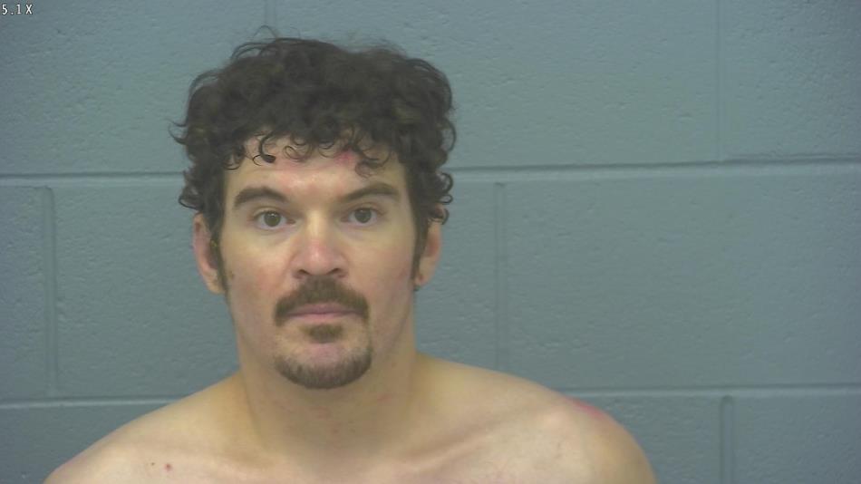 Arrest photo of TIMOTHY WILKINS