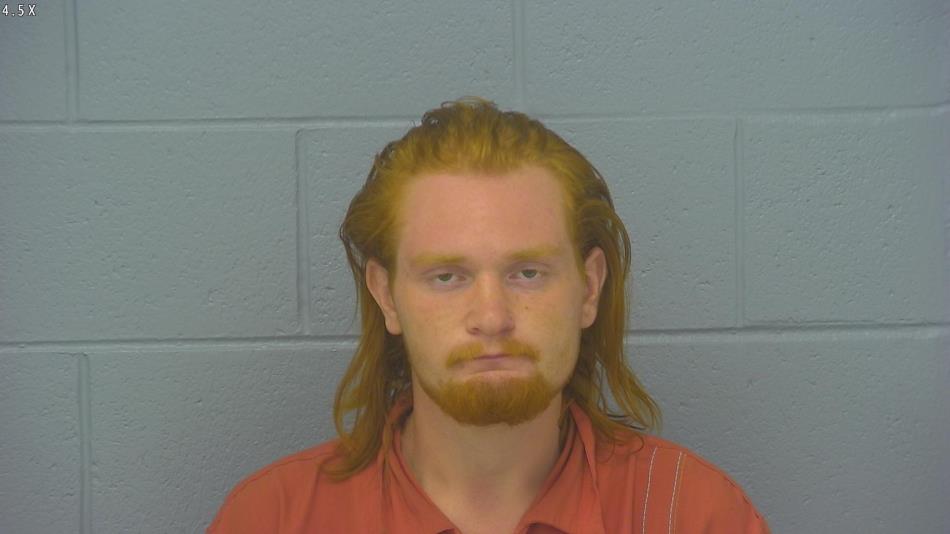 Arrest photo of TIMOTHY WEBB