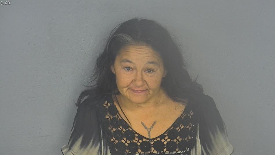 Arrest photo of TINA RIDER