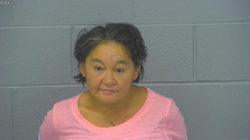 Arrest photo of TINA RIDER