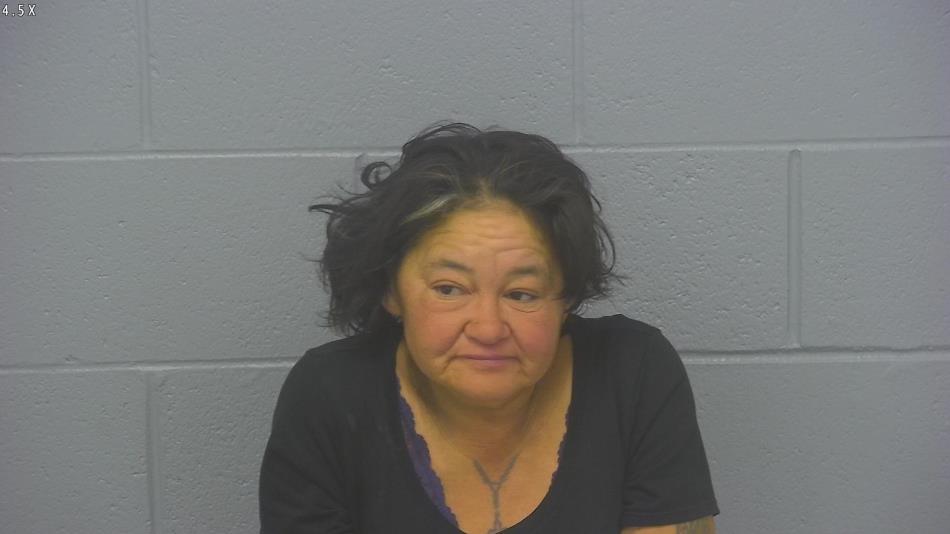 Arrest photo of TINA RIDER