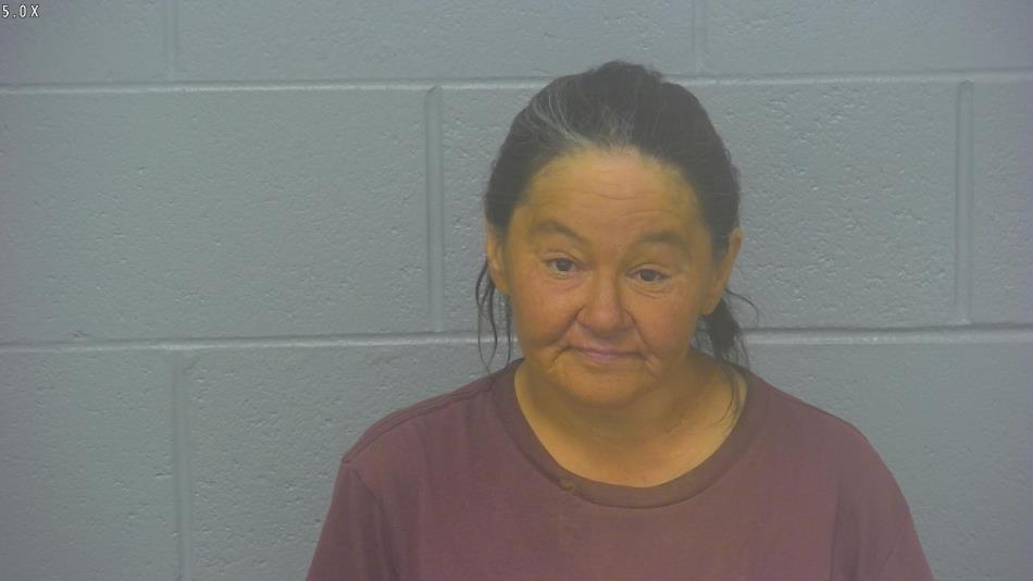 Arrest Photo of TINA RIDER, arrested on 4/15/2024