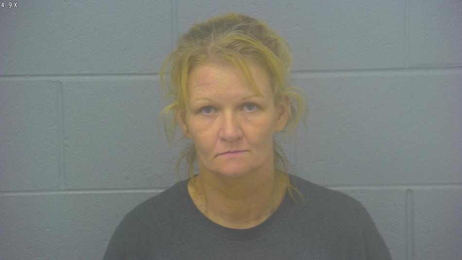 Arrest photo of TINA BREWER