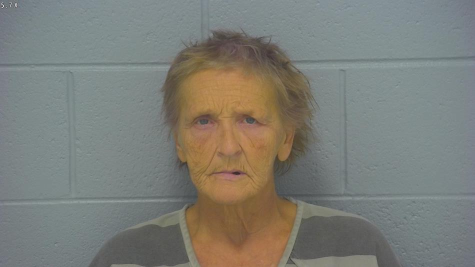 Arrest photo of TINA CASSIDY