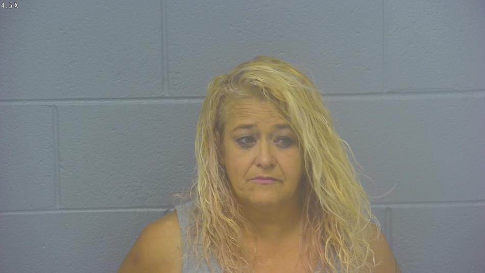 Arrest photo of TINA CROSBY