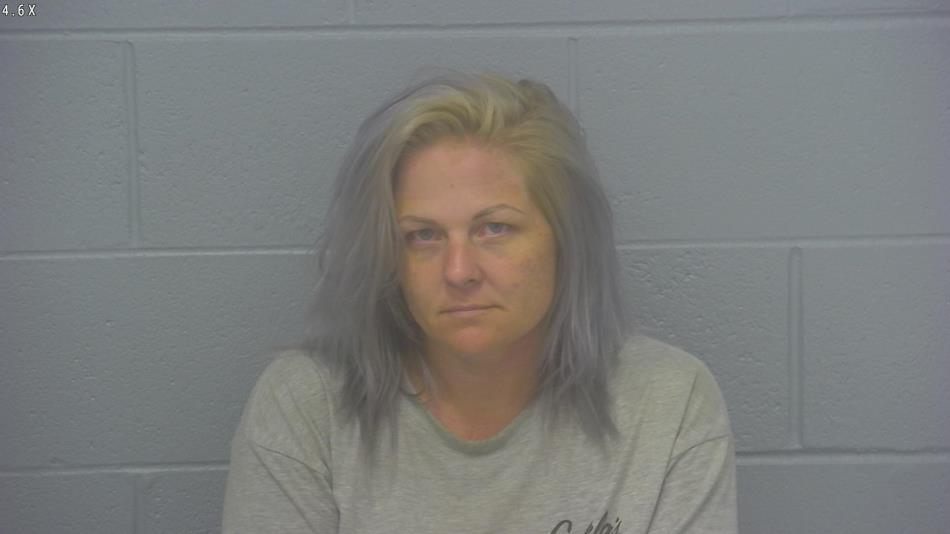 Arrest Photo of TINA OLIVIO, arrested on 8/20/2024