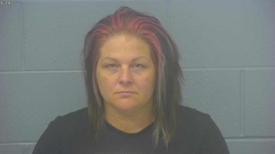 Arrest Photo of TINA OLIVIO, arrested on 11/14/2024