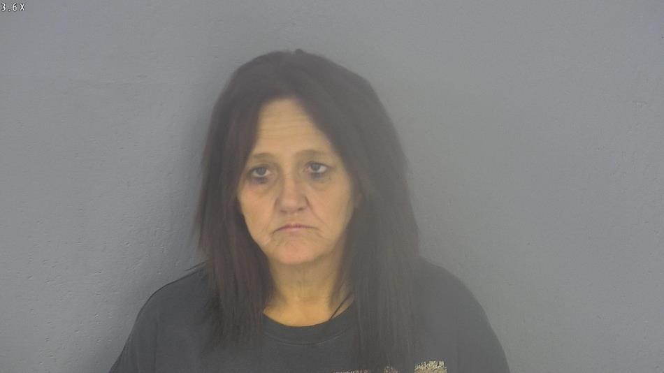 Arrest photo of TINA WILSON