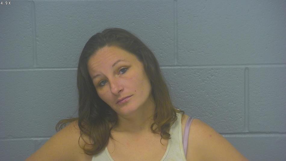 Arrest photo of TISHA WHITE