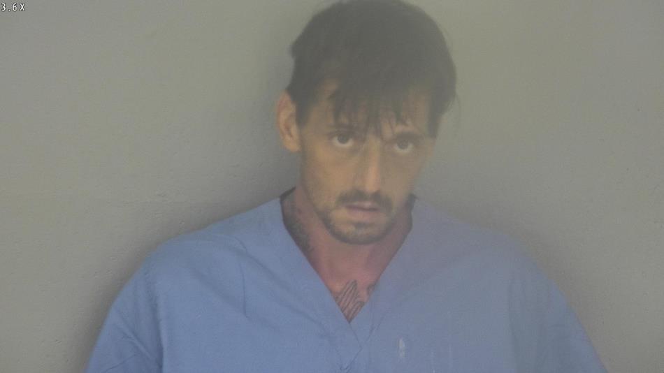 Arrest photo of TOMMY DAVIS