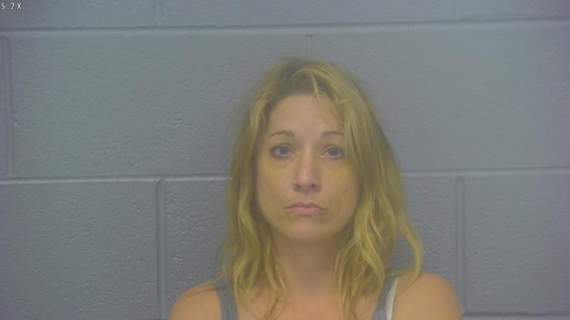Arrest Photo of TONI VANDENBERGH, arrested on 7/14/2025