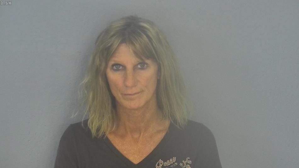 Arrest photo of TRACEY WEBB