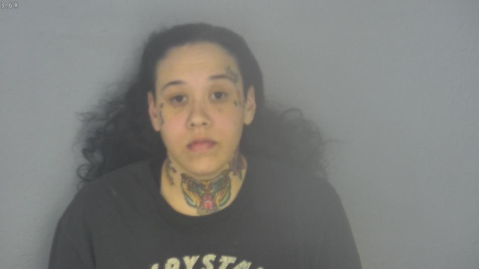 Arrest photo of TRACY STRUCKMEYER